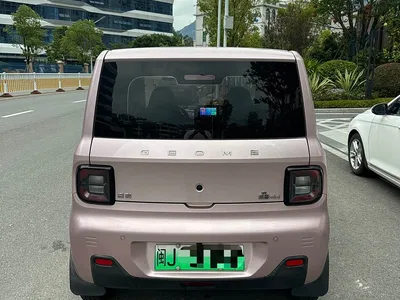 2023 Geely Galaxy Panda Mini 200km Endurance Bear, фото 4, лот 10448688