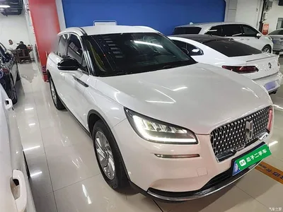 2020 Lincoln Adventurer 2.0T 2WD Premium Joy Edition, фото 4, лот 10357524