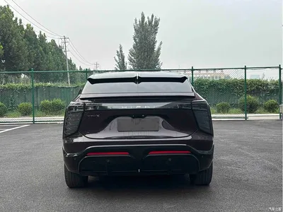 2021 HiPhi X Flagship Edition 6-Seater, фото 4, лот 10414044