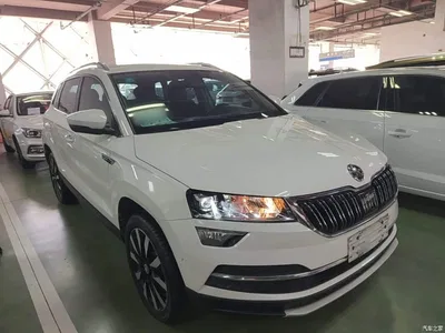 2019 Škoda Karoq TSI280 Smart Drive Luxury Edition China V, фото 4, лот 10347933