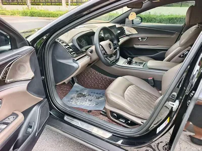 2020 BYD Han DM AWD Performance Premium, фото 4, лот 10251377