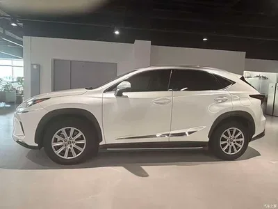 2018 Lexus NX Model 200 FWD Fengxing Edition China V, фото 3, лот 10312493