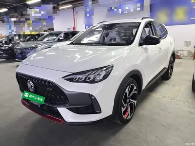 2021 MG Pilot 400TGI Automatic 2WD Trophy Flagship Edition, фото 1, лот 11449768