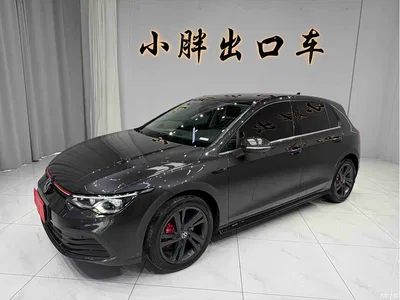 2023 Volkswagen Golf 280TSI DSG Pro, фото 1, лот 10449673