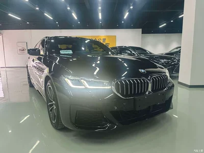 2021 BMW 5 Series New Energy 535Le Pioneer Edition M Sport Package, фото 1, лот 11089020