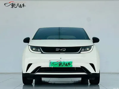2025 BYD Dolphin 420km Freedom Edition, фото 2, лот 10253306