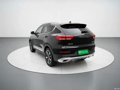 2021 Haval H6 Model 1.5T Automatic Champion Edition, фото 4, лот 10470232