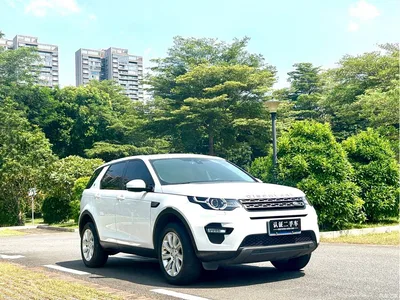 2019 Land Rover Discovery Sport 240PS SE Edition China V, фото 4, лот 11568755