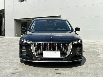 2025 Hongqi H5 1.5T DCT Qiyue 500,000 Units Commemorative Edition, фото 2, лот 10360991