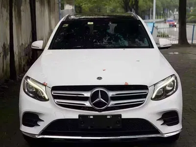 2019 Mercedes-Benz GLC 300 L 4MATIC Dynamic, фото 2, лот 10766679