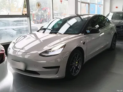 2020 Tesla Model 3 Standard Range Rear-Wheel Drive Upgrade, фото 1, лот 11134582