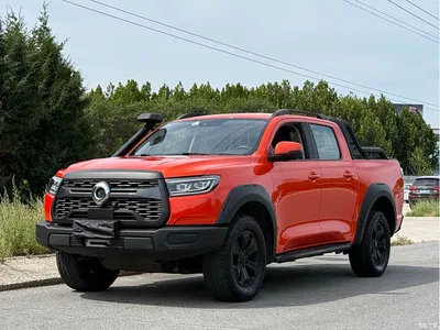 2023 Great Wall Pao 2.0T Off-Road Edition Automatic Diesel 4WD Everest Edition, фото 1, лот 10386137