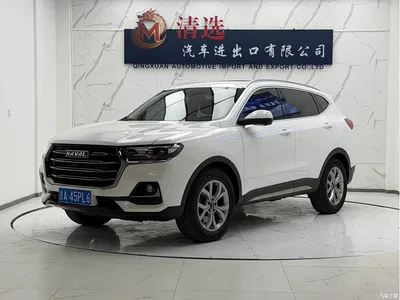 2021 Haval H6 Model National Trend Edition 1.5T Auto Champion, фото 1, лот 10416555