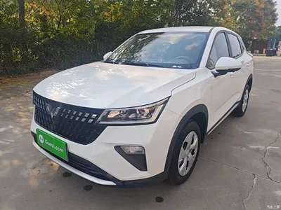 2022 Wuling Motors Wuling Xingchi 1.5L Manual Freedom Edition, фото 1, лот 10823263