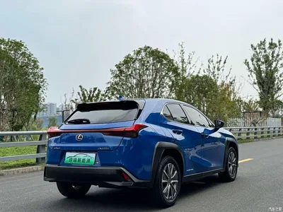 2020 Lexus UX Electric 300e Pure Yue Edition, фото 3, лот 11081190