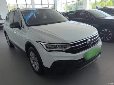 2024 Volkswagen Tiguan L Outstanding 300TSI Auto 2WD Dragon Soaring Edition, фото 4, лот 10577162