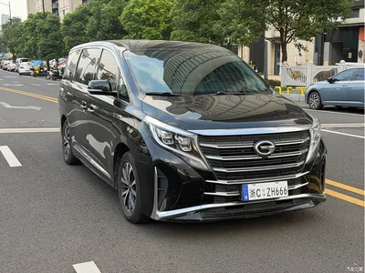 2021 GAC Trumpchi Trumpchi M8 Leading Show Series 390T Premium Edition, фото 3, лот 10419001