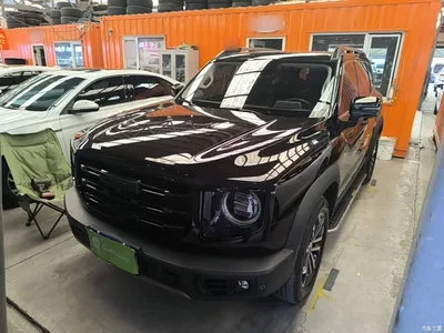 2021 Haval Big Dog 1.5T DCT 2WD Border Collie Edition, фото 2, лот 11502902