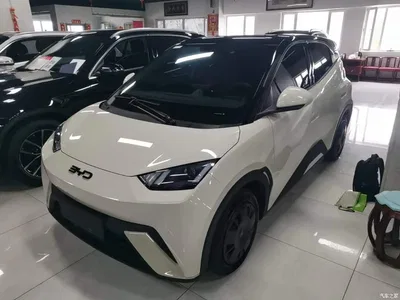 2024 BYD Seagull Glory Edition 305km Freedom Edition, фото 2, лот 11188981