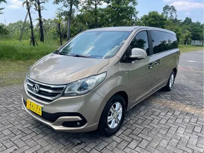 2016 SAIC Maxus Maxus G10 2.0T Automatic Executive Edition, фото 1, лот 11165938
