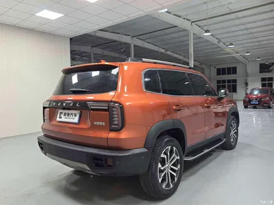 2021 Haval Big Dog 1.5T DCT 2WD Malinois Edition, фото 4, лот 11571616