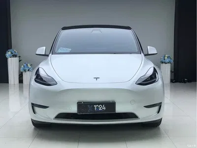 2021 Tesla Model Y Standard Range Rear-Wheel Drive, фото 2, лот 10885615