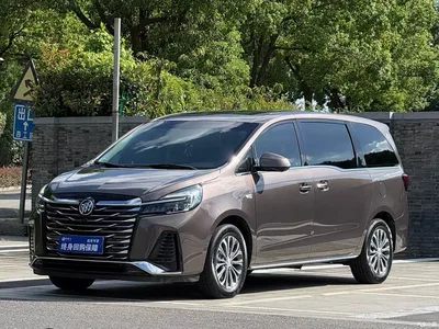 2023 Buick GL8 Land Business Class 652T Smart Luxury, фото 1, лот 10257912