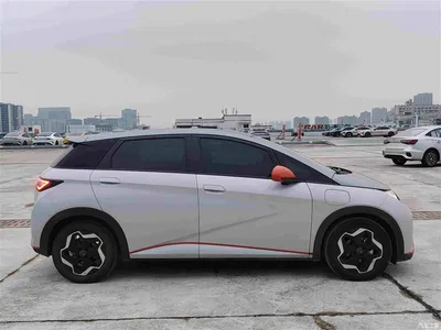 2021 BYD Dolphin Model 405km Fashion Edition, фото 3, лот 11195884