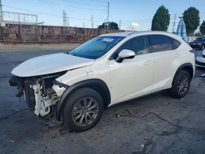 2019 LEXUS NX 300 BASE, фото 1, лот 10900678