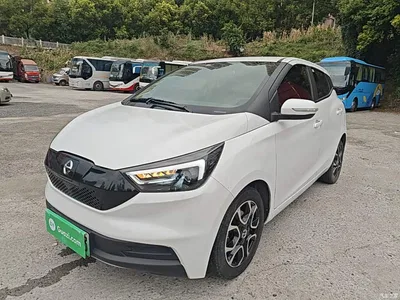 2021 Jmev Yizhi EV3 Mini Radar Yue Run Model, фото 1, лот 11646198