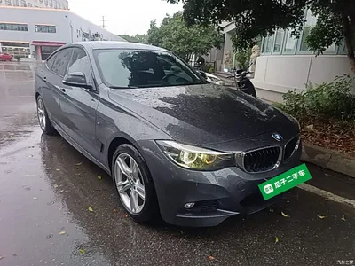 2019 BMW 3 Series GT 320i M Sport Package, фото 4, лот 11461703