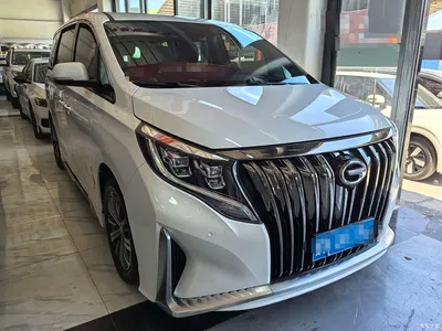 2020 GAC Trumpchi Trumpchi M8 Pilot 390T Prestige Edition, фото 3, лот 10416462