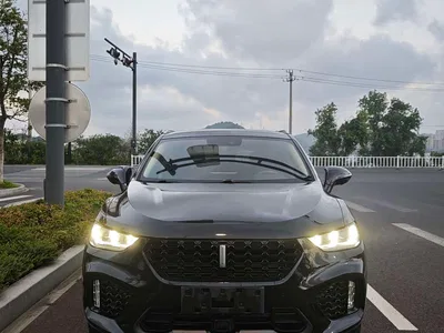 2019 WEY VV5 1.5T FWD Orange Limited Edition, фото 2, лот 11152174