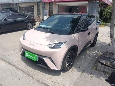 2024 BYD Seagull Glory Edition 305km Freedom Edition, фото 2, лот 10262981