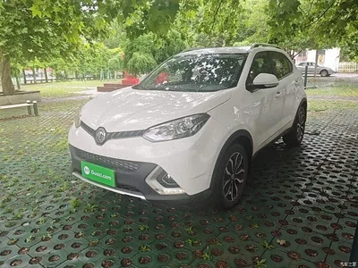 2016 MG Roewe RX5 1.5TGI TST Luxury Edition, фото 1, лот 10354159