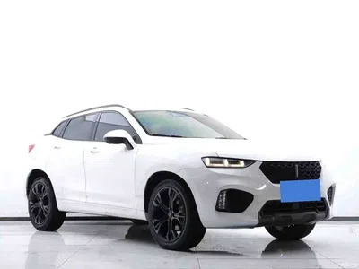 2017 WEY VV7 2.0T Flagship, фото 3, лот 10451657
