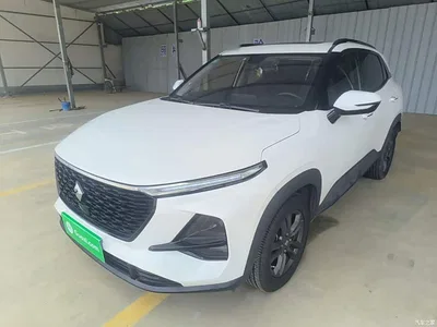 2020 Baojun RS-3 Model 1.5L CVT 24-hour Online Luxury, фото 1, лот 10409458