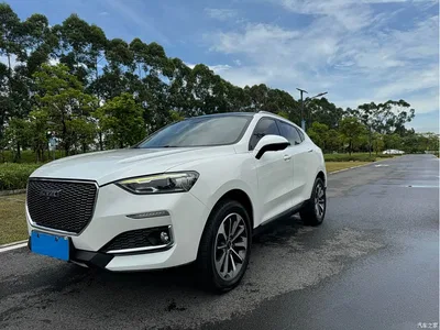 2019 Haval F5 National Trend Edition 1.5T iTrend China VI, фото 1, лот 10301442