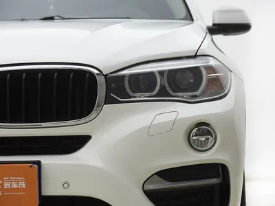 2015 BMW X6 xDrive35i Luxury Model, фото 3, лот 10237512