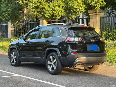 2020 Jeep Cherokee 2.0T 2WD Leading Edition, фото 4, лот 10305758