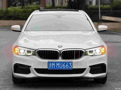 2019 BMW 5 Series 530Li Leading M Sport Package, фото 2, лот 10448609