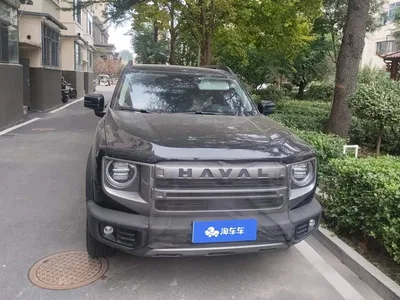 2024 Haval Big Dog 1.5T DCT Border Collie Edition, фото 2, лот 10899312