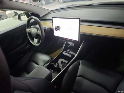 2020 Tesla Model 3 Standard Range Rear-Wheel Drive Upgrade, фото 4, лот 10368937