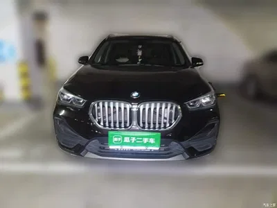 2020 BMW X1 sDrive20Li Fashion Model, фото 2, лот 10465736