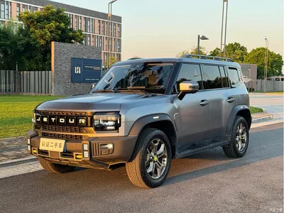2023 Jetour Traveler 2.0T 4WD Conquest, фото 1, лот 10427799