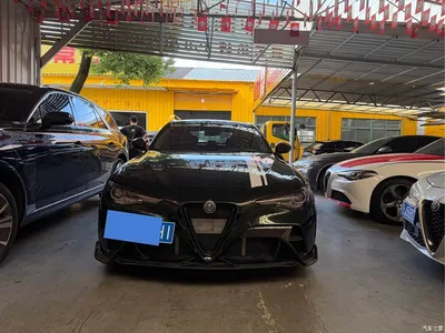 2020 Alfa Romeo Giulia 2.0T 280HP Luxury Edition, фото 2, лот 10240281