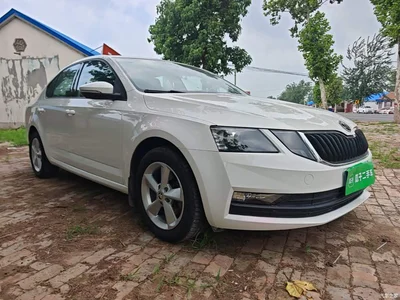2019 Škoda Octavia 1.5L Manual Standard China VI, фото 4, лот 10348071