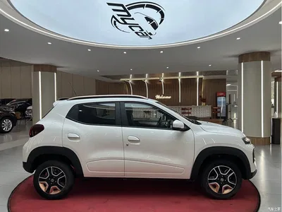 2022 Dongfeng Yipai Nano BOX Wind Chaser Edition 351KM Advanced, фото 4, лот 11558520