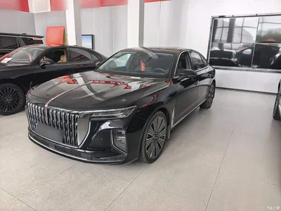 2025 Hongqi H9 Facelift 2.0T 2WD Flagship Luxury Business Edition 5-seater, фото 2, лот 10304518