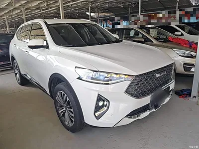 2020 Haval F7 2.0T 2WD i-Style, фото 4, лот 10302426